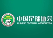 九游APP:足球报：王钰栋德转身价飙升，能以排名前列的名次被欧洲球探看到