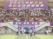 九游官网:伊犁河谷绿茵旋风起